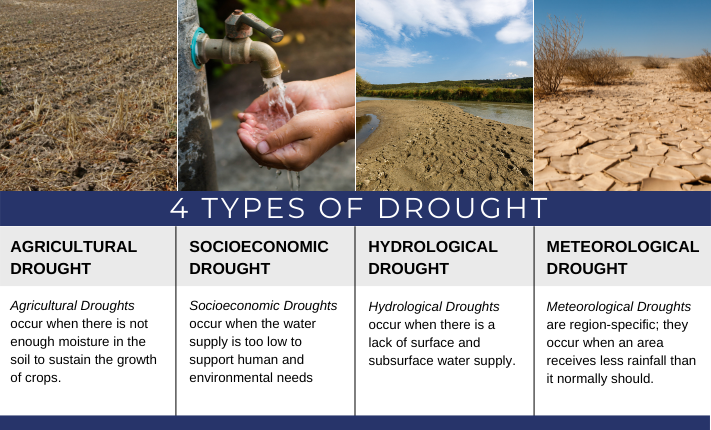 causes of drought in south africa essay